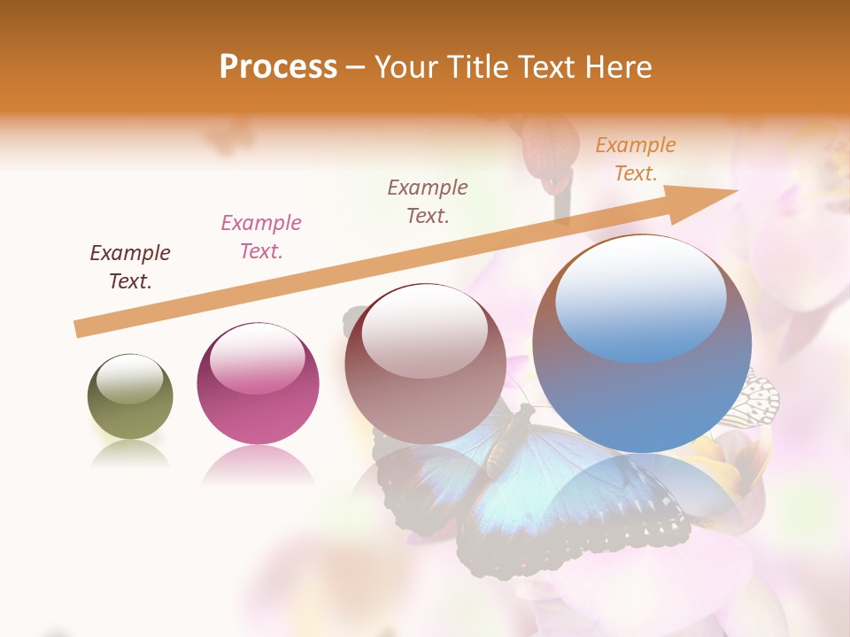 Phalaenopsis Border Vibrant PowerPoint Template