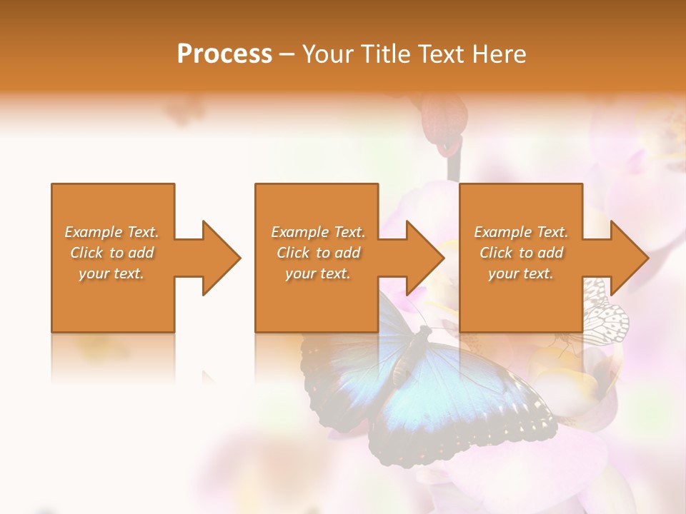 Phalaenopsis Border Vibrant PowerPoint Template