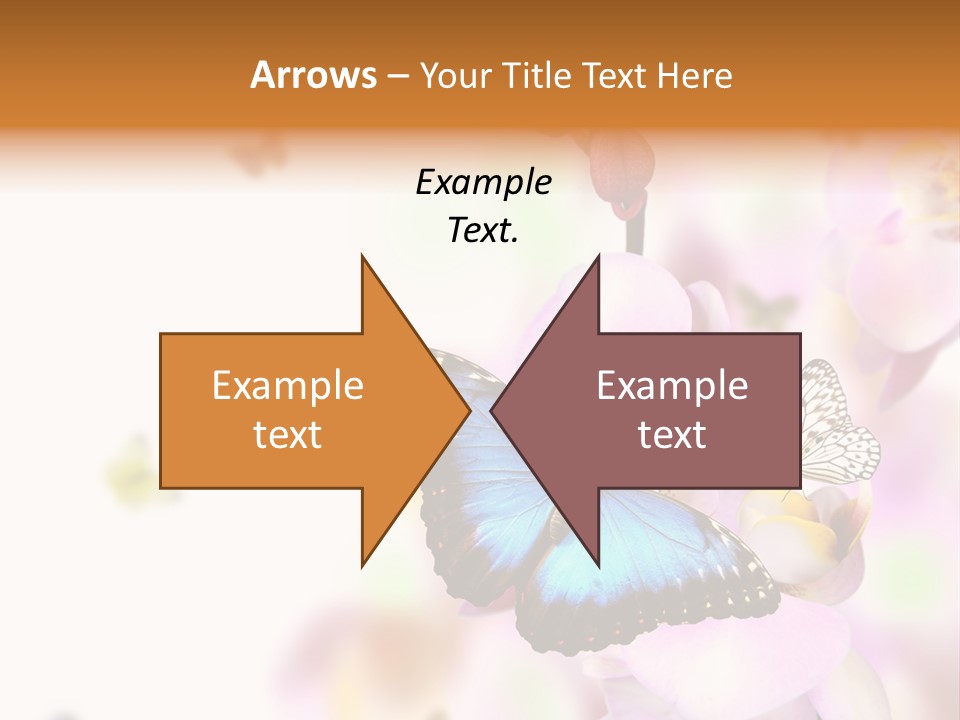 Phalaenopsis Border Vibrant PowerPoint Template