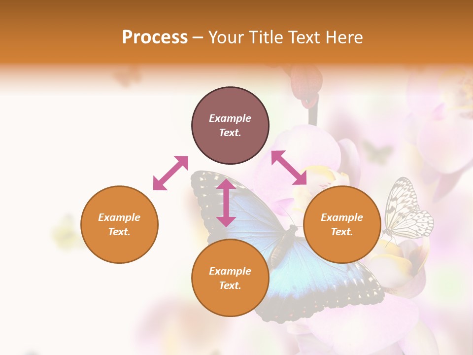 Phalaenopsis Border Vibrant PowerPoint Template
