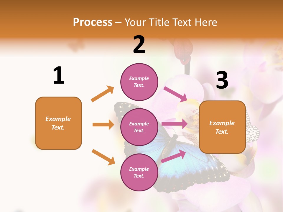 Phalaenopsis Border Vibrant PowerPoint Template