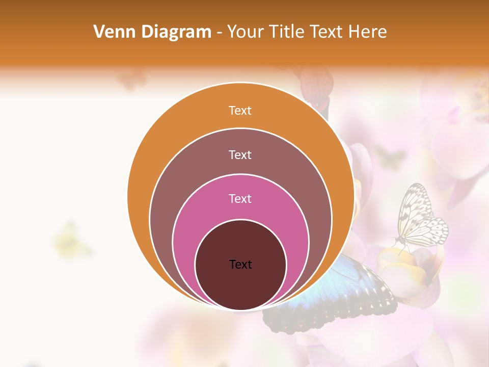 Phalaenopsis Border Vibrant PowerPoint Template