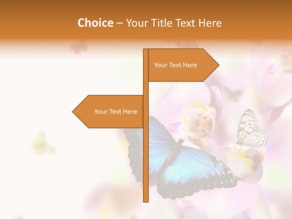 Phalaenopsis Border Vibrant PowerPoint Template