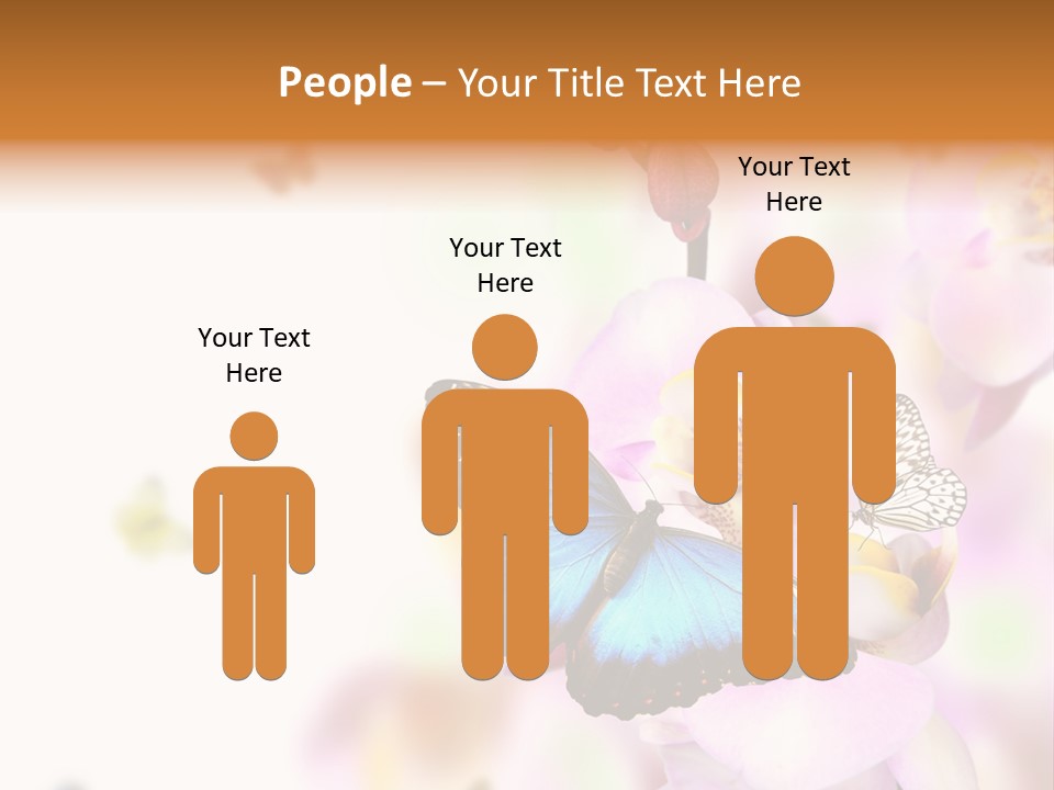 Phalaenopsis Border Vibrant PowerPoint Template