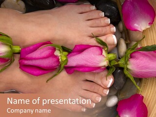 Fragrant Petal Beauty PowerPoint Template