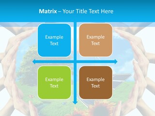 Coccinella Carattere Vita PowerPoint Template