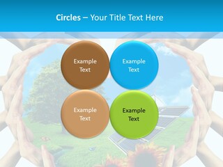 Coccinella Carattere Vita PowerPoint Template