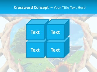 Coccinella Carattere Vita PowerPoint Template