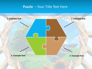Coccinella Carattere Vita PowerPoint Template