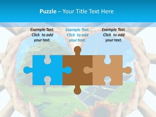 Coccinella Carattere Vita PowerPoint Template