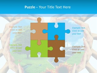 Coccinella Carattere Vita PowerPoint Template