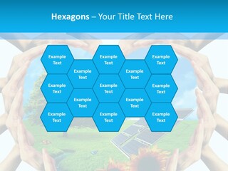 Coccinella Carattere Vita PowerPoint Template