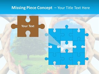 Coccinella Carattere Vita PowerPoint Template