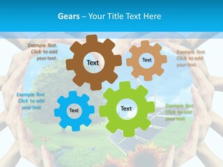Coccinella Carattere Vita PowerPoint Template