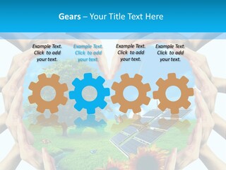 Coccinella Carattere Vita PowerPoint Template