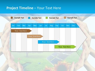 Coccinella Carattere Vita PowerPoint Template