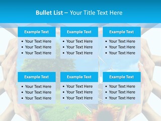 Coccinella Carattere Vita PowerPoint Template