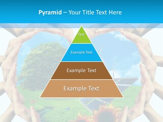 Coccinella Carattere Vita PowerPoint Template