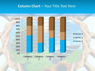 Coccinella Carattere Vita PowerPoint Template