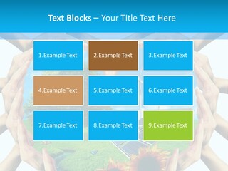 Coccinella Carattere Vita PowerPoint Template