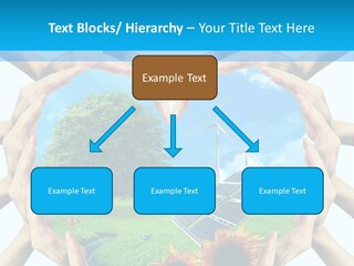 Coccinella Carattere Vita PowerPoint Template