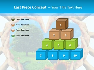 Coccinella Carattere Vita PowerPoint Template