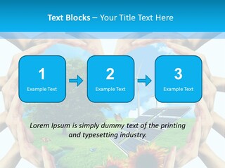 Coccinella Carattere Vita PowerPoint Template