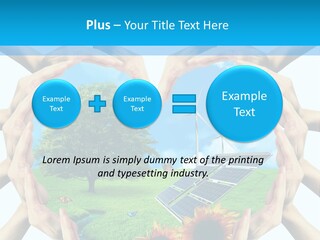 Coccinella Carattere Vita PowerPoint Template