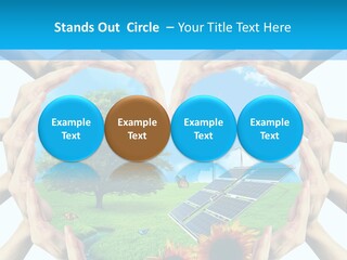 Coccinella Carattere Vita PowerPoint Template