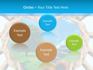 Coccinella Carattere Vita PowerPoint Template