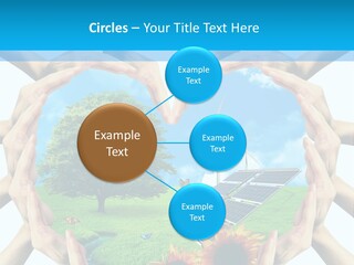 Coccinella Carattere Vita PowerPoint Template