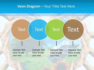 Coccinella Carattere Vita PowerPoint Template