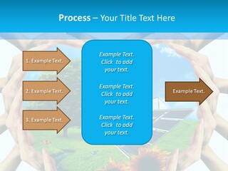 Coccinella Carattere Vita PowerPoint Template