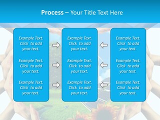 Coccinella Carattere Vita PowerPoint Template
