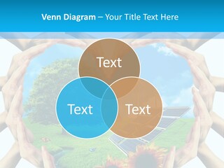 Coccinella Carattere Vita PowerPoint Template