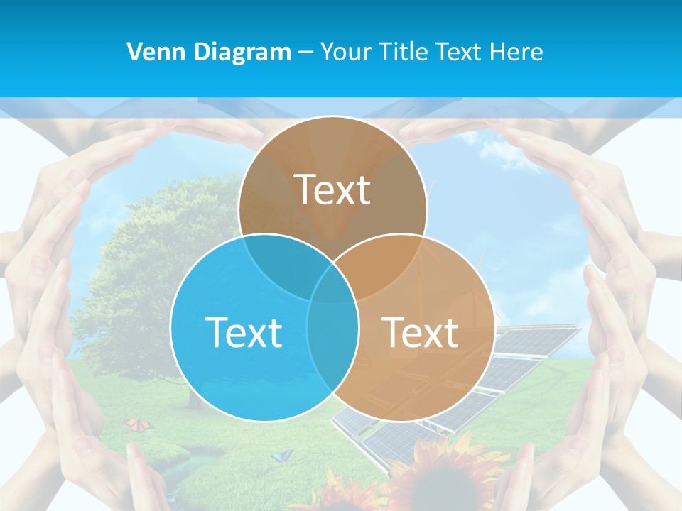 Coccinella Carattere Vita PowerPoint Template