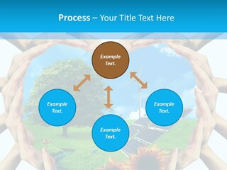 Coccinella Carattere Vita PowerPoint Template
