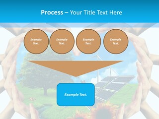 Coccinella Carattere Vita PowerPoint Template