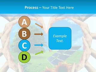 Coccinella Carattere Vita PowerPoint Template