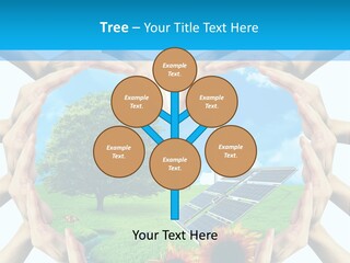 Coccinella Carattere Vita PowerPoint Template