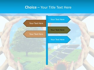 Coccinella Carattere Vita PowerPoint Template