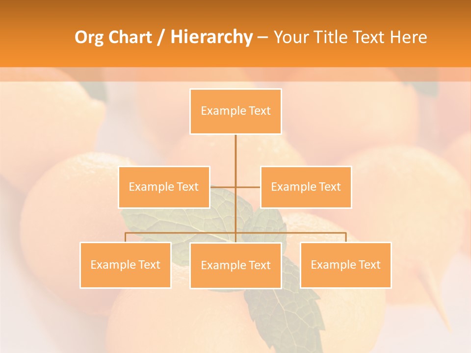 Diet Summer Healthy PowerPoint Template