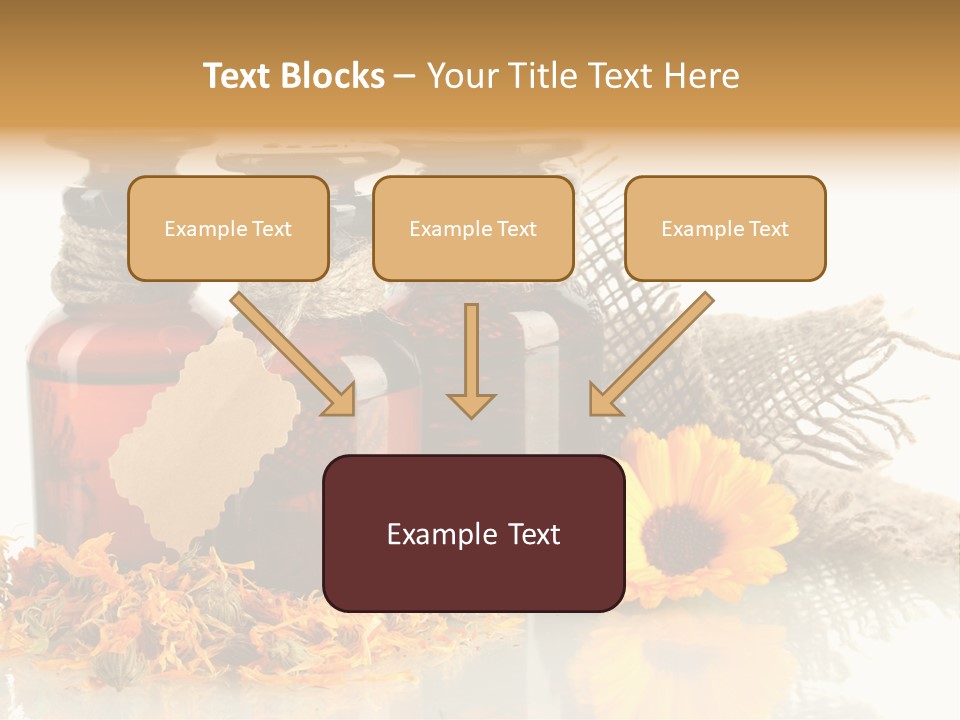 Curative Nature Aroma PowerPoint Template