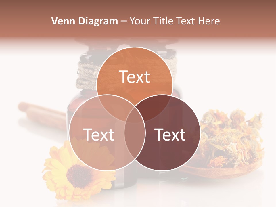 Sweet Wooden Plate PowerPoint Template