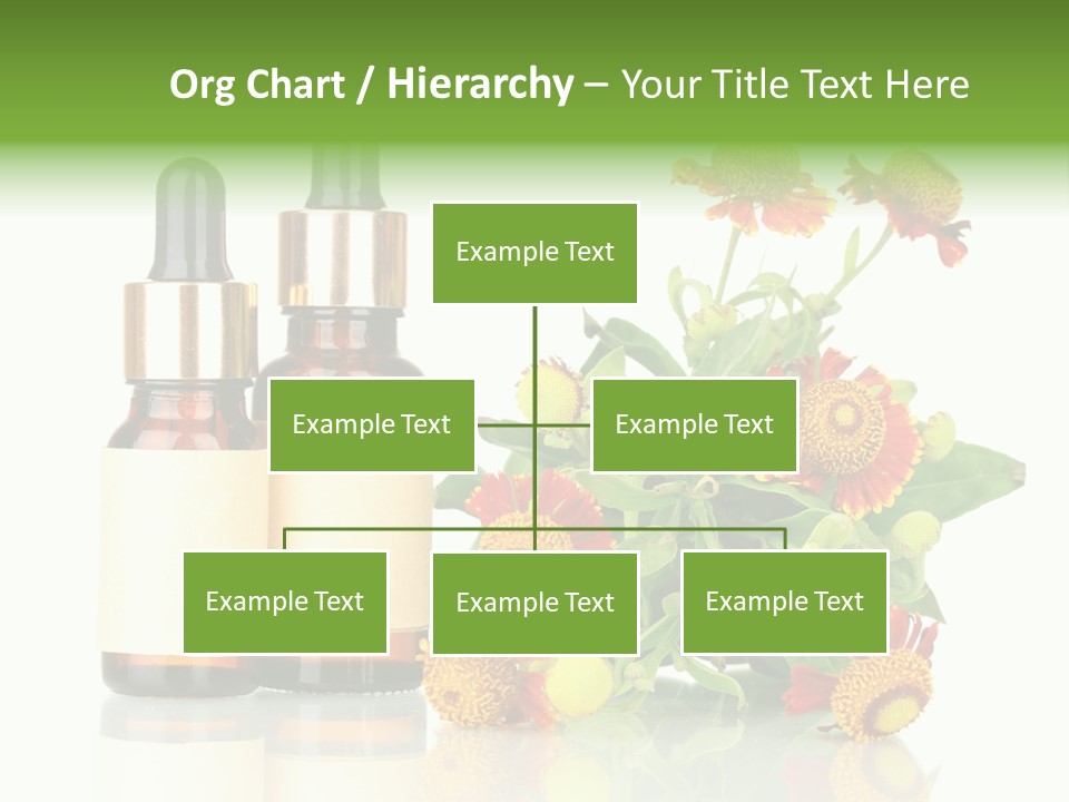 Medical Wildflower Essential PowerPoint Template