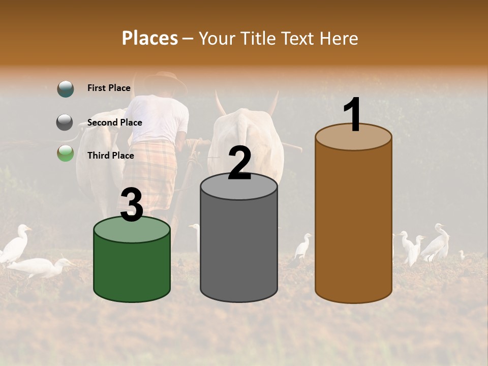 Ocean Morning Arable Land PowerPoint Template