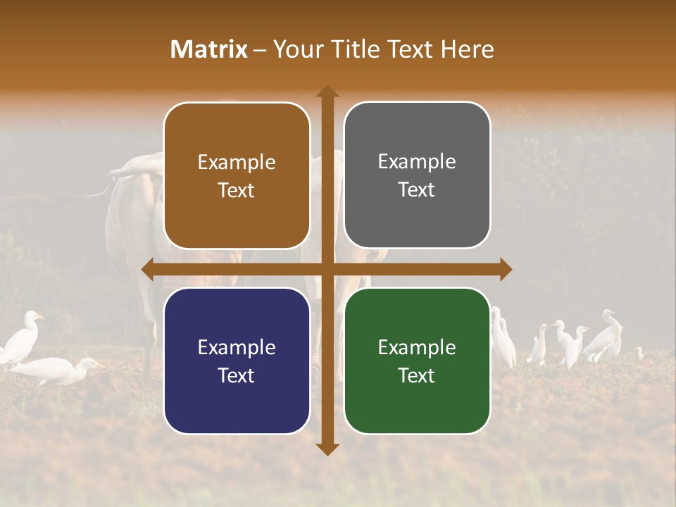 Ocean Morning Arable Land PowerPoint Template