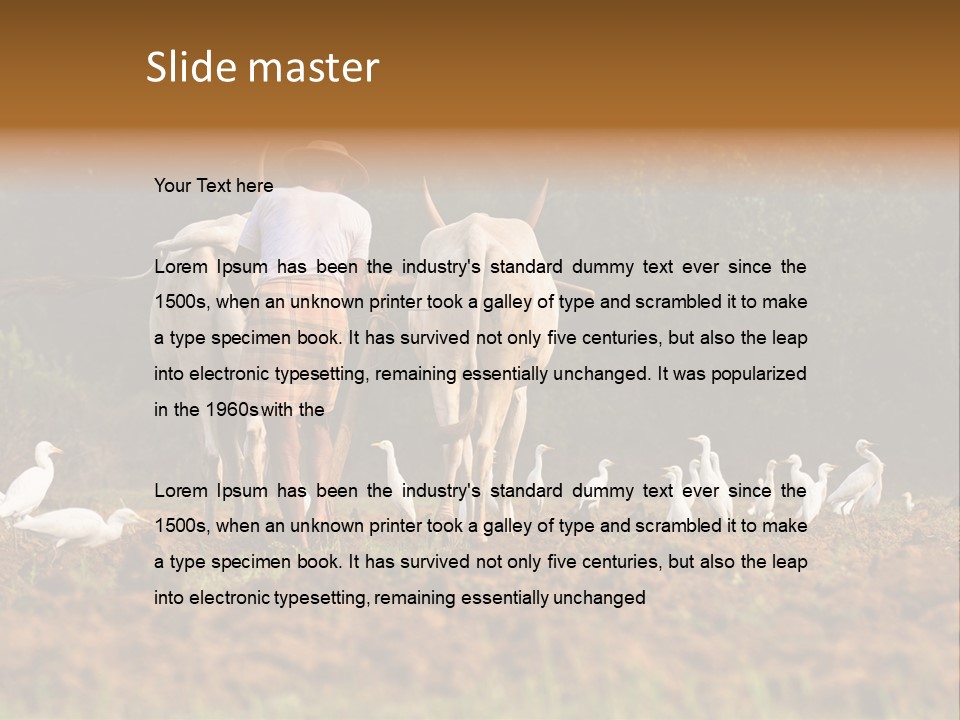 Ocean Morning Arable Land PowerPoint Template
