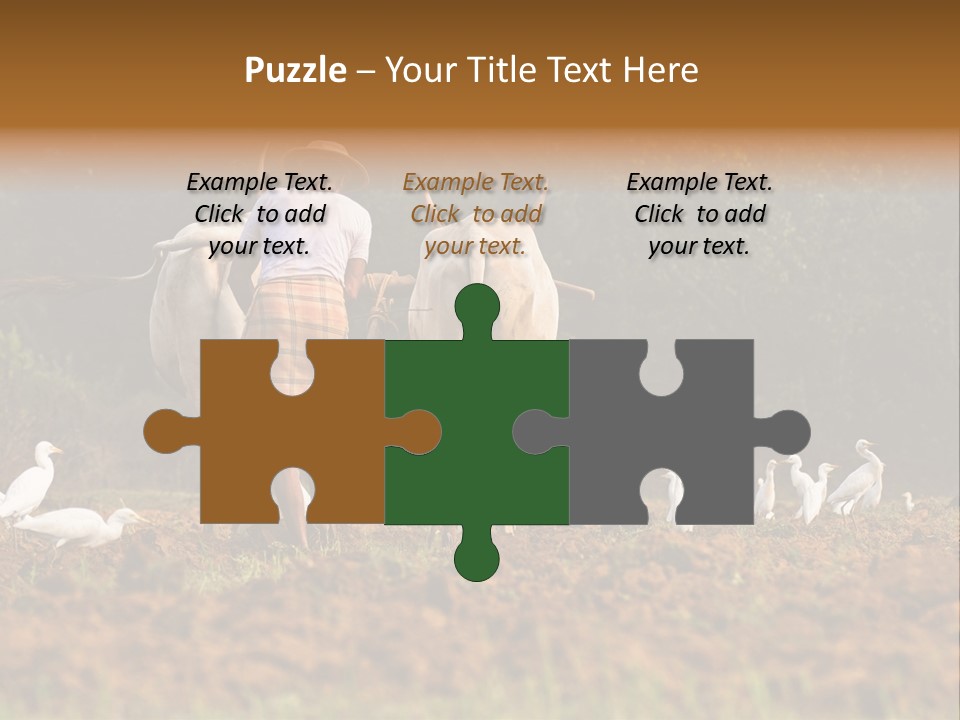 Ocean Morning Arable Land PowerPoint Template