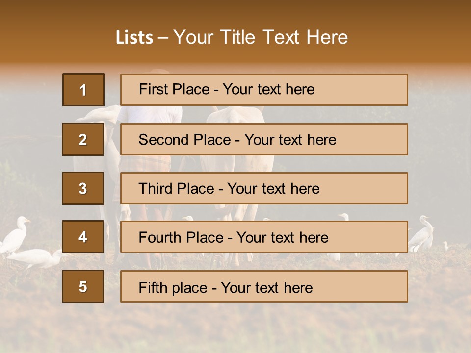 Ocean Morning Arable Land PowerPoint Template